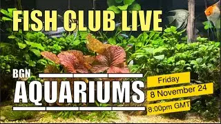 BGN Aquariums Fish Club 8/11:24