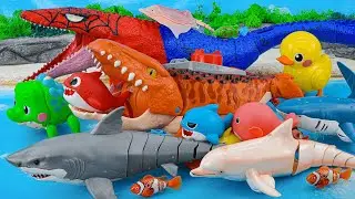 Toy asmr 🐟 Light Robo Fishing + Zuru Robo Fish Aquarium Playset ASMR | Satisfying with Unboxing