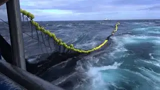 Mackerel fishery with M/S Rav 2019