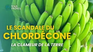 La clameur de la terre | Tous Frères