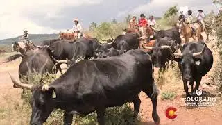 Adult Only Weeks @ Colorado Dude Ranches
