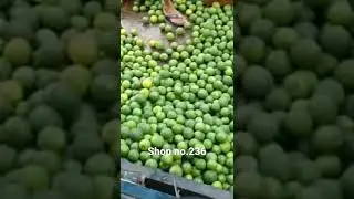 okhla sabji mandi shop.236