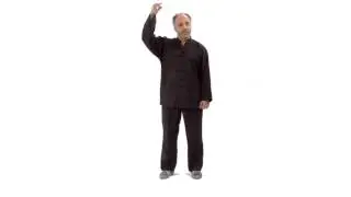Important point for cheng man ching form practice