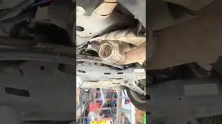 Honda XV is installed with electric exhaust cutout#valvedexhaust #valvetronic #valvetronicexhaust