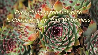 Everything in The Universe is Conspiring for Your Wholeness