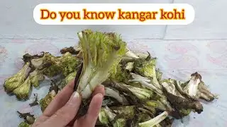 Do You Know Kangar?