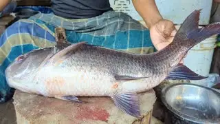 Amazing Cutting Skills | Big Rohu Fish Skinning & Chopping By Expert Fish Cutter