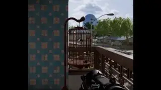 No birds were harmed...