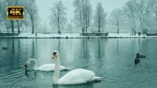 Samsung Galaxy A51 Cinematic 4k Footage | White winter in Ulm and Neu Ulm