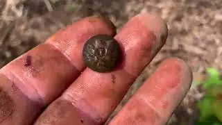 Best finds 2025