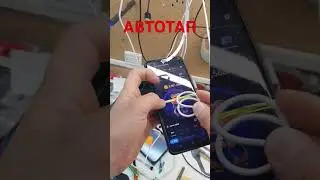 автокликер autoclicker автотап автотапалка hamster combat хомяк #autotap #autoclicker