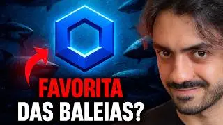 BALEIAS AUMENTARAM EXPOSIÇÃO EM CHAINLINK NA ÚLTIMA QUEDA