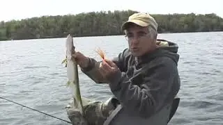 Don Meissner Fishing Henderson Harbour