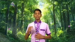 DAY - 13 WHY DO BIRDS MIGRATE ?  -  KUTTY STORIES OF WHY ?