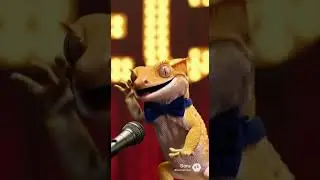 Gecky&rsquo;s Standup Comedy 