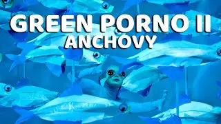 Anchovy - Green Porno Season 2