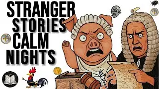 HISTORY FOR SLUMBER| MEDIEVAL ANIMAL COURT! (Pigs Hanged, Roosters Burned)