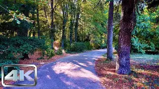4K Walking Tour: Bucharest Botanical Garden Bliss