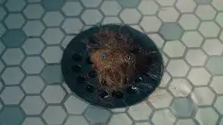 Something hairy is coming - Quality Meats to Create First National Super Bowl Ad for Manscaped