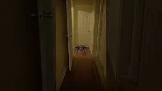 I hate spiders&hellip; better be a ghost