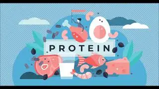 What is Protein Denaturation?