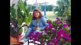 Roberta Miranda Alma Sertaneja
