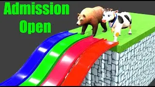 Animal Fountian crossing pack | Long Slide Game