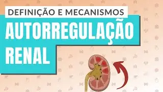 AUTORREGULAÇÃO RENAL I PARTE 1: Definição e mecanismos