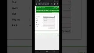 How to view SSC and equivalent exam results online