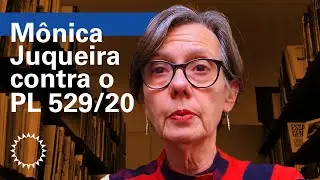FAUUSP contra o PL529/20 | M&ocirc;nica Junqueira de Camargo
