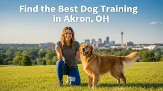 Find the Best Dog Training in Akron Ohio
