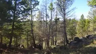 Log Home in the Mountains of Montana
