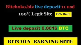 BitChoko.biz Live Depozit 11 USD / 0,0016 BTC | Invest Safe!