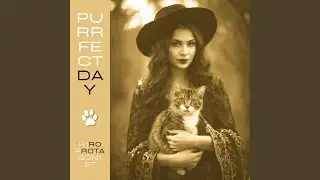 Purrfect Day