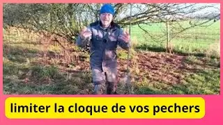 Les maladies des arbres fruitiers
