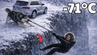 She Slipped at −71°C — Seconds From Freezing to Death, Saved by a Smart Alaskan Dog