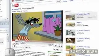 Как скачать видео, отображаемое в Adobe Flash Player?