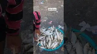 Vaddy Fishing Harbour🎣#kollam #travel #fishing #harbour