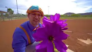Blippi Toys! Learn Colors with Blippi Educational Videos for Toddlers Color Boxes!