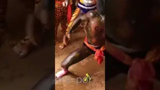tiger. dance  #public #foryou #flp #like #tiger