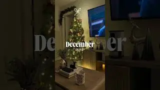 Фотопленка за декабрь 2025 года 🎄🫶🏽 #фотопленка #декабрь2025 #краткийобзордекабря #сборникфото