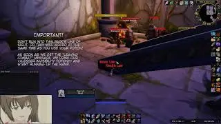 Comprehensive Guide to Hunter Tribute Solo - WoW Classic
