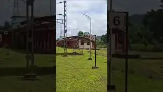 railway station #fullgreen  #eyesoothing #travel #train #shorts