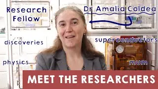 Dr Amalia Coldea - Meet The Researchers