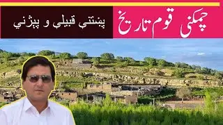 The Tsamkani Tribe: Pashtun Heritage and Ancestry