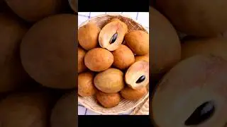 sapota benefits for health #good