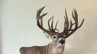 Monster Saskatchewan 256 2/8 Deadhead find part 1.