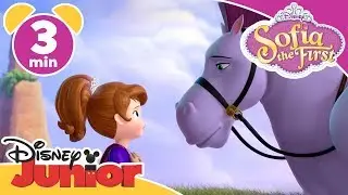 Sofia The First | Best Unicorn Friends 🦄- Magical Moment | Disney Kids