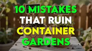 10 Container Gardening Mistakes Seniors Should Avoid (Save Plants, Save Money!)