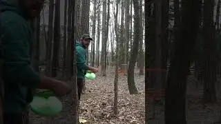Heavy wooded Holes and Big Hyzers. #birdie #wind #win #discgolf